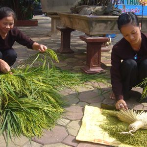 Vong Village Green Sticky Rice