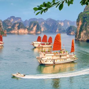 Halong Bay 1 Day_My Hanoi Tour Packages