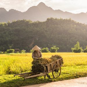 Rural village in Hanoi - Hanoi day trip