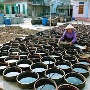 Fish Sauce Making Family