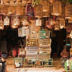 Hanoi Old Quarter Vietnam Tour