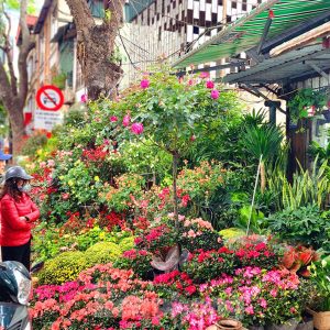 Hoang Hoa Tham Flowers Market